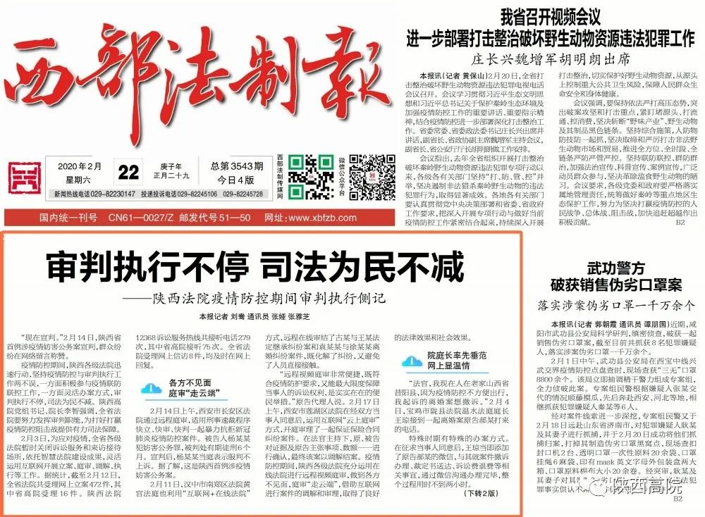 闽南山区的鲁冰花海：乡村振兴路上的紫色奇迹