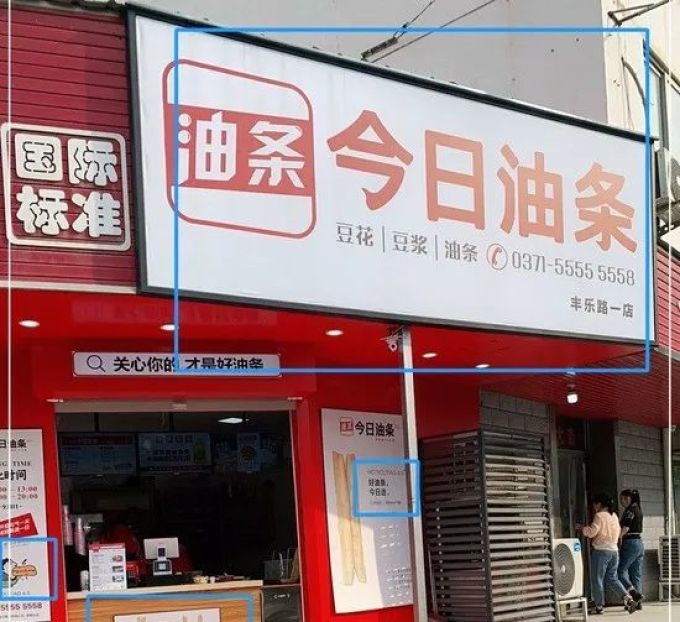 闽南山区的鲁冰花海：乡村振兴路上的紫色奇迹