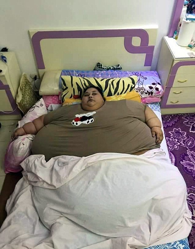读懂财经世界的敲门砖：一本让普通人不再懵圈的入门书